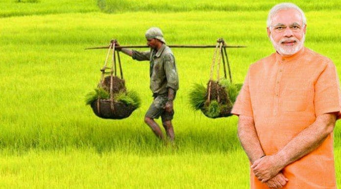 Narendra Modi, Farmers, Kissan Yojna, Modi Cabinet, Agriculture loan, નરેન્દ્ર મોદી, ખેડૂત યોજના, લોન પર વ્યાજ, 