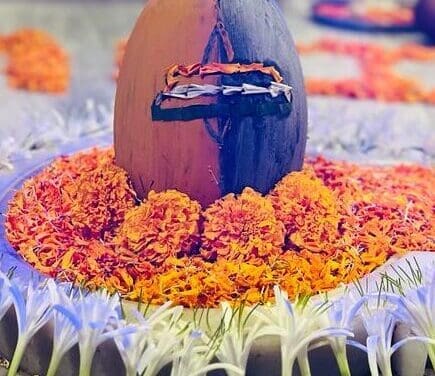 દેશભક્તિના રંગે રંગાયું વલસાડનું સિદ્ધેશ્વર મહાદેવ