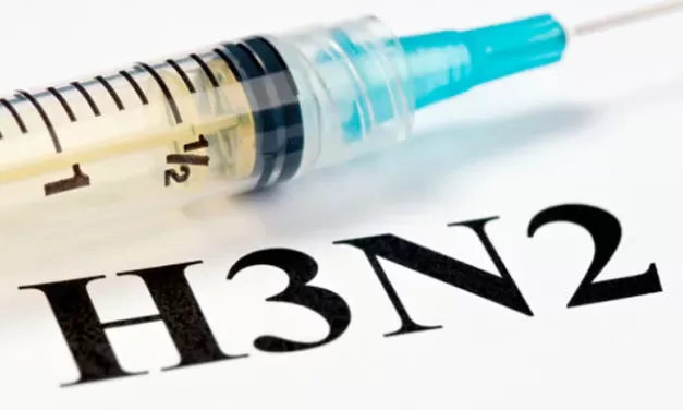 કોરોના બાદ H3N2 વાયરસની તબાહી, ભારતમાં 6 લોકોનાં મોત