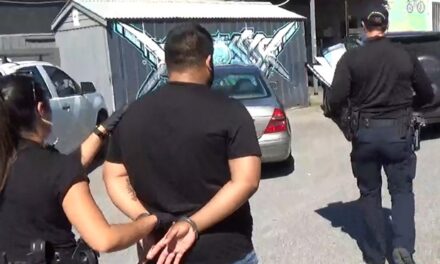 Adelaide : ગેરકાયદે તમાકુ અને અફીણનો જથ્થો ઝડપાયો: ભારતીય મૂળના દુકાનદાર પિતા-પુત્રને સજા