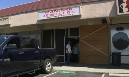 કેલિફોર્નિયામાં ગુજરાતી જ્વેલરી સ્ટોર પર 15થી લૂંટારુઓ ત્રાટક્યા, જુઓ લૂંટનો Video