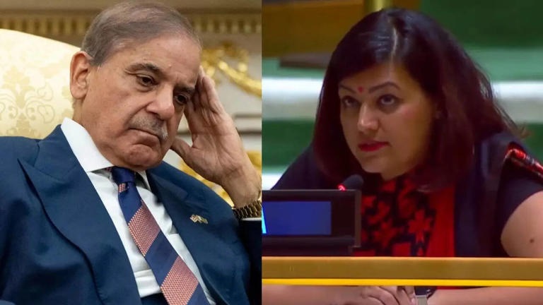 United Nations, India, Pakistan, pakistan Prime Minister shehbaz sharif, Terrorist Nation Pakistan, 