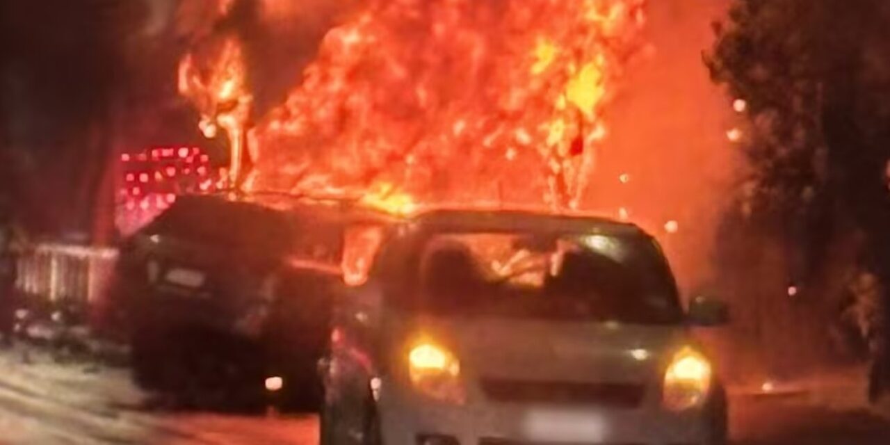 ઓકલેન્ડના તમાકી ડ્રાઇવ પર EV બસ અને કાર ભીષણ અકસ્માત: એકનું મૃત્યુ