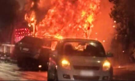 ઓકલેન્ડના તમાકી ડ્રાઇવ પર EV બસ અને કાર ભીષણ અકસ્માત: એકનું મૃત્યુ