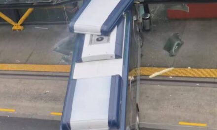 Auckland: ન્યૂ લિન સ્ટેશન પર બસનો અકસ્માત