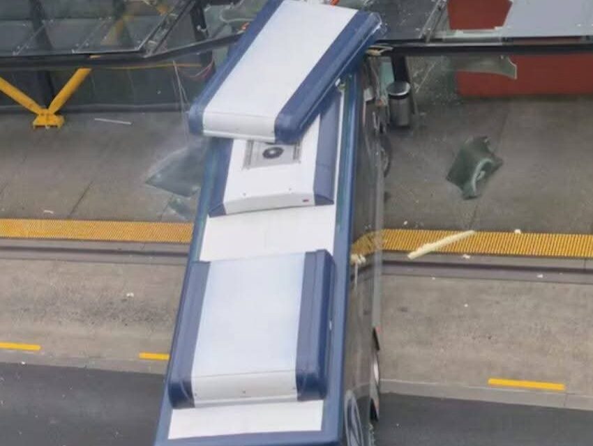 Auckland: ન્યૂ લિન સ્ટેશન પર બસનો અકસ્માત