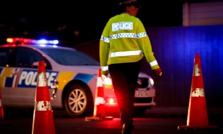 New Zealand : AAની માંગણી, ડ્રાઇવિંગ ઓફેન્સ ફાઇન્સ વધારવામાં આવે !