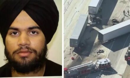 ભારતીય ટ્રક ડ્રાઇવરે ડ્રગ્સના નશામાં અમેરિકામાં ત્રણ લોકોને કચડ્યા, અકસ્માતનો Video Viral