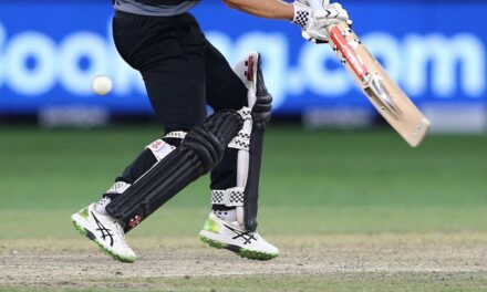 ન્યૂઝીલેન્ડમાં IPL સ્ટાઇલ T20 લીગ ? NZCને ભારતીય ફંડિંગની આશંકા !