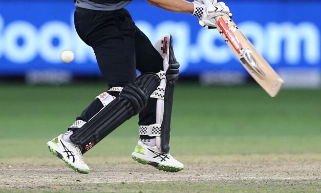 ન્યૂઝીલેન્ડમાં IPL સ્ટાઇલ T20 લીગ ? NZCને ભારતીય ફંડિંગની આશંકા !