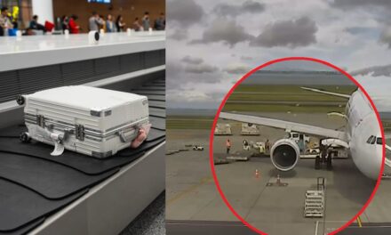 ઑકલેન્ડ એરપોર્ટનું $220 મિલિયન ડ્રગ્સ કૌભાંડ : 20 બેગેજ હેન્ડલર્સ સહિત 43ની ધરપકડ