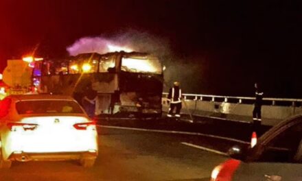 સાઉદી અરેબિયામાં ભયાનક અકસ્માત: મક્કાથી મદીના જતી બસ ટેન્કર સાથે અથડાતા 42 ભારતીયો જીવતા સળગ્યા