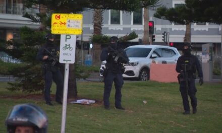 સિડનીના બોન્ડી બીચ પર ગોળીબાર:12નાં મોત, અનેક લોકો ઘાયલ, 2 હુમલાખોરોની ધરપકડ