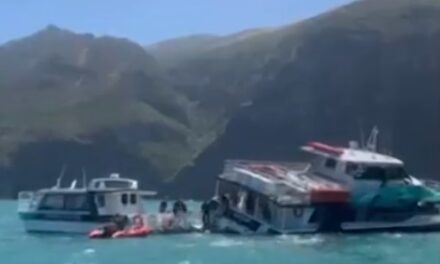 ન્યુઝીલેન્ડ: અકારાઉમાં પ્રવાસી બોટ દરિયામાં પલટી, 39 મુસાફરોનો આબાદ બચાવ