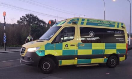 ઓકલેન્ડના લિનફિલ્ડમાં ગમખ્વાર અકસ્માત: વાહનની ટક્કરે પેડીસ્ટ્રિયનનું મોત