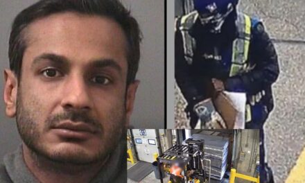 કેનેડાની સૌથી મોટી સોનાની ચોરીનો ‘માસ્ટર માઇન્ડ’ ભારતીય, ટોરંટો એરપોર્ટ ધરપકડ