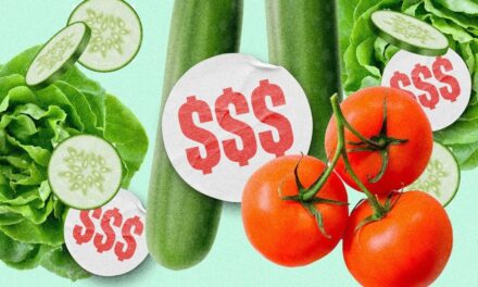 ન્યુઝીલેન્ડમાં મોંઘવારીનો માર: સફેદ બ્રેડના ભાવમાં એક જ વર્ષમાં 60%નો વધારો