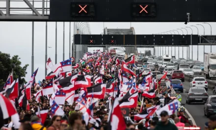 Aucklandમાં શનિવારે બે મોટા વિરોધ પ્રદર્શન: પ્રો પેલેસ્ટાઇન અને એન્ટી માઇગ્રેશન પ્રોટેસ્ટ