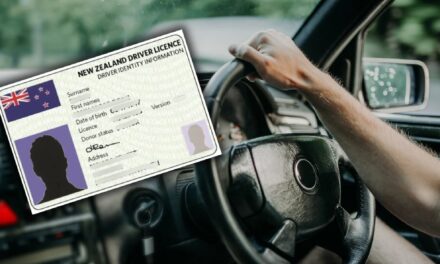 ન્યુઝીલેન્ડમાં ડ્રાઇવિંગ લાયસન્સ મેળવવું થશે સસ્તું અને સરળ; સરકારે જાહેર કર્યા નવા નિયમો