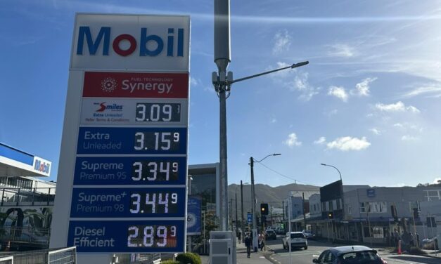 પેટ્રોલના ભાવમાં ભડકો: $4 પ્રતિ લિટર સુધી પહોંચી શકે છે ભાવ, અર્થશાસ્ત્રીઓની ચેતવણી