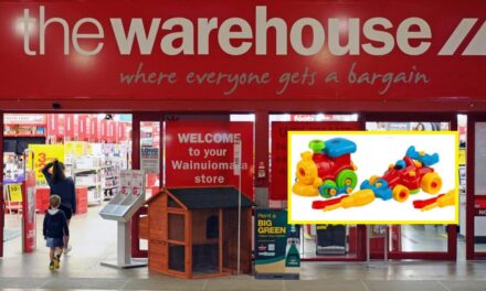 જોખમી રમકડું વેચવા બદલ ‘The Warehouse’ પર $234,000નો દંડ