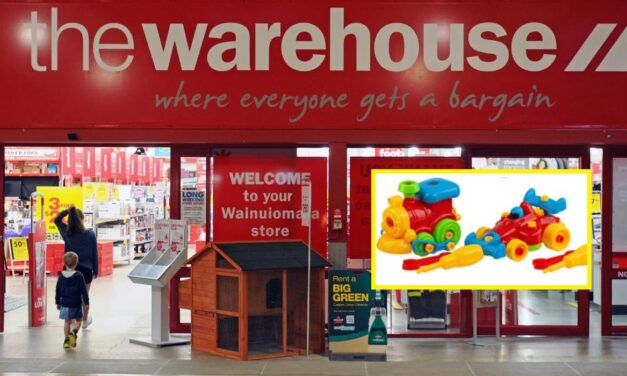 જોખમી રમકડું વેચવા બદલ ‘The Warehouse’ પર $234,000નો દંડ