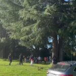 Bay of Plenty : તારાવેરા નદીમાં ડૂબવાની દુર્ઘટનામાં બે બાળકોનાં મોત